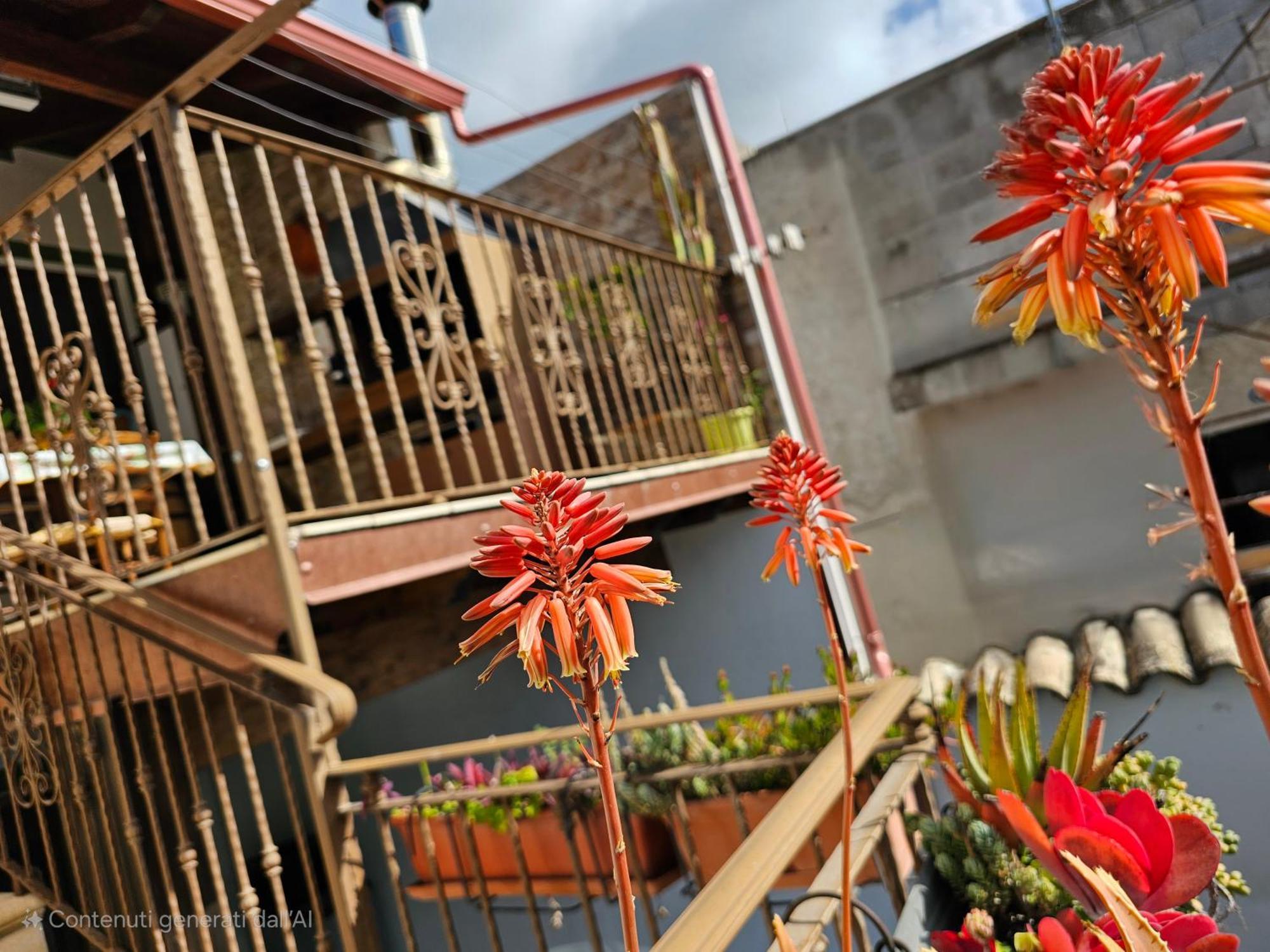 Serena Serdiana Exterior foto